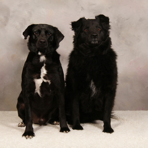 Fundraising Page: Judith Van Fossen